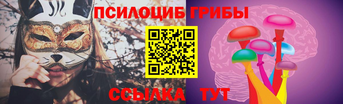Старый Оскол  Псилоцибиновые грибы Psilocybine cubensis  Вход с VPN 
